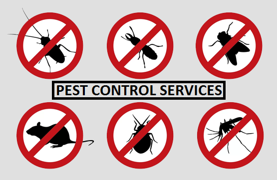 Pest Control Utah County